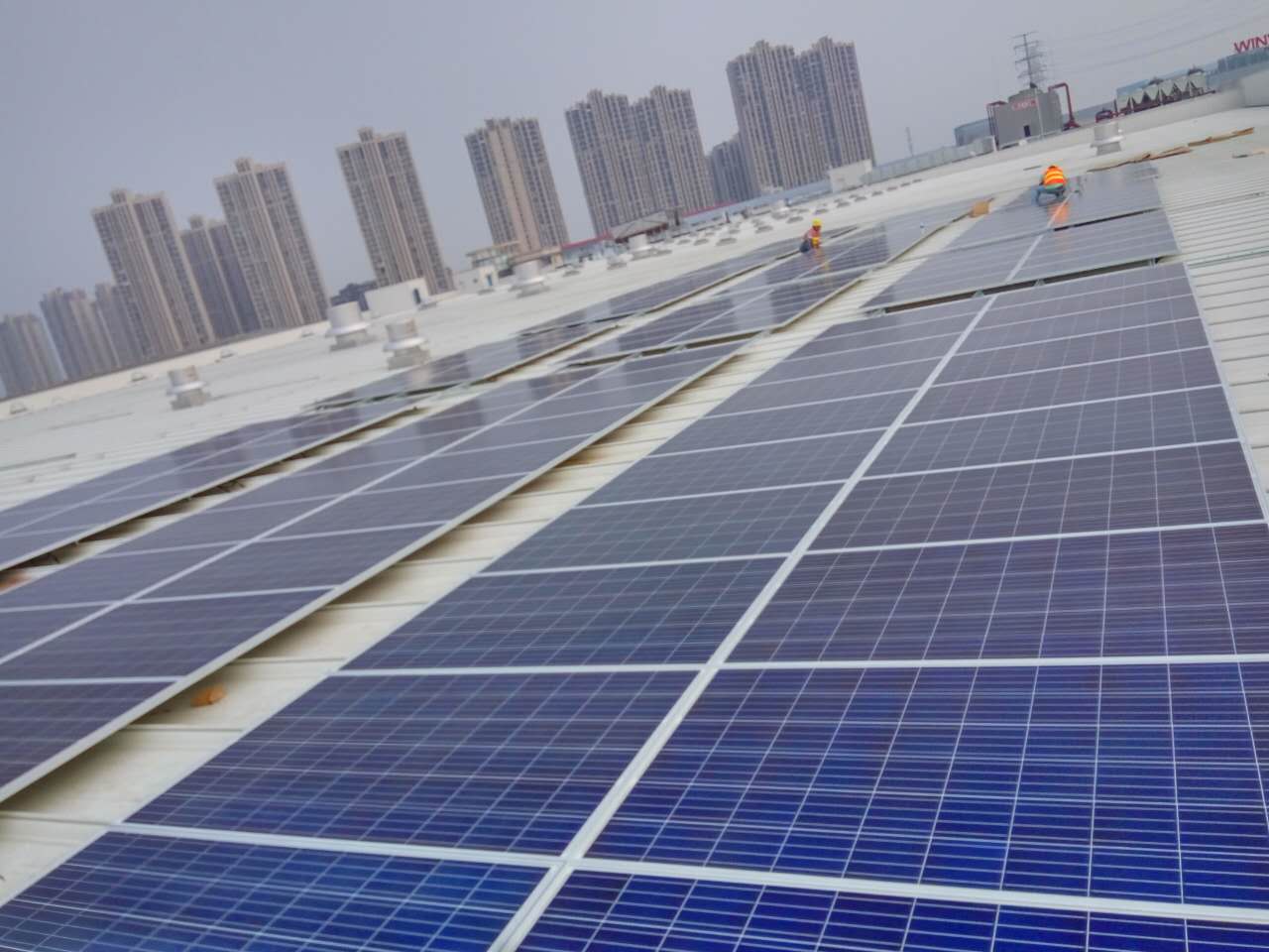 17-阿雷蒙 (1).jpg